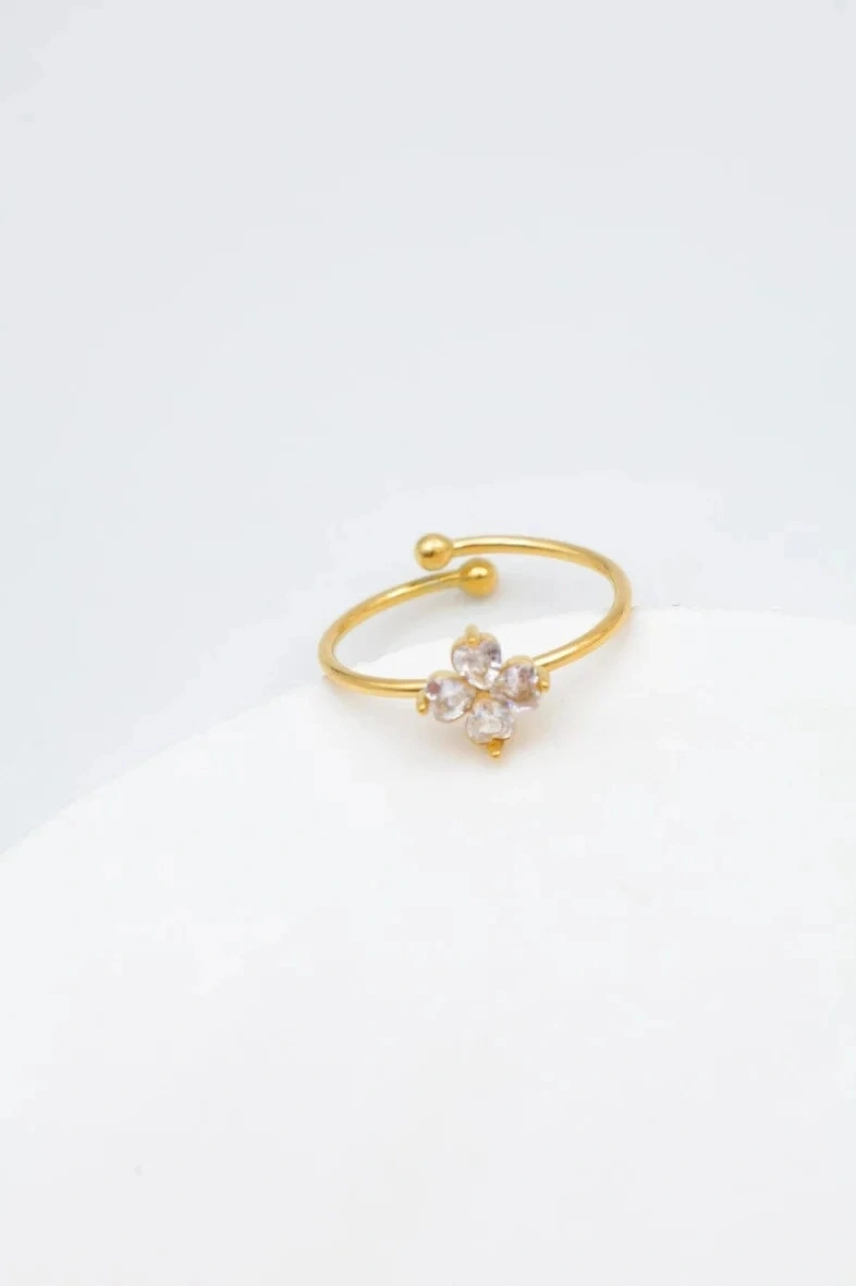 Adjustable stainless steel ring 2