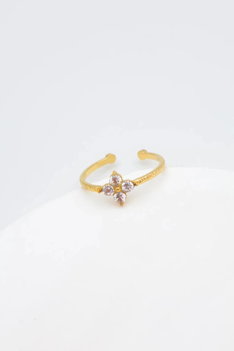 Adjustable stainless steel ring 2