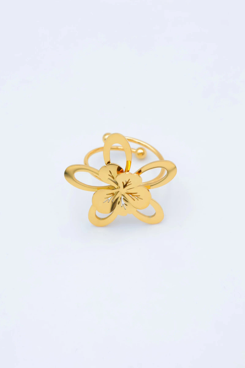Bague en acier inoxydable ajustable 2