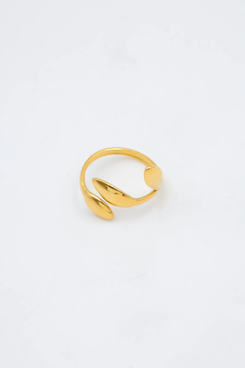Bague en acier inoxydable ajustable 2