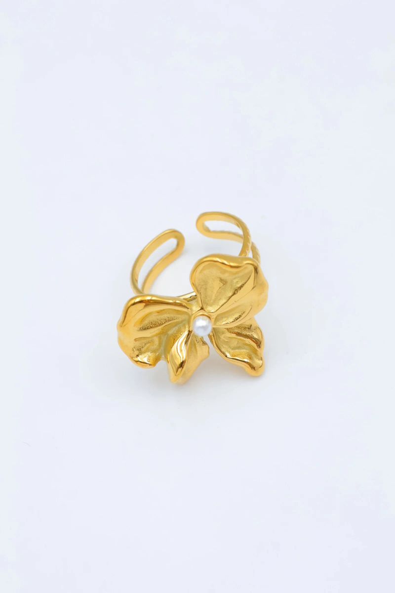 Bague en acier inoxydable ajustable 2
