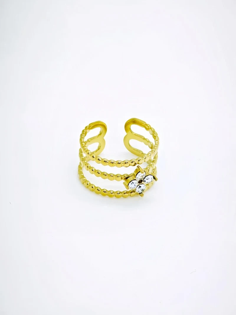 Bague en acier inoxydable ajustable 2