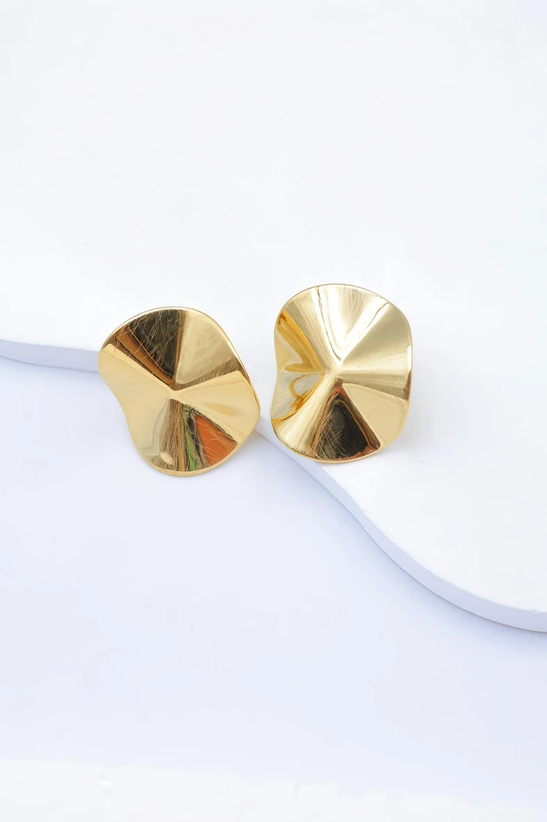 Stainless steel earrings 2