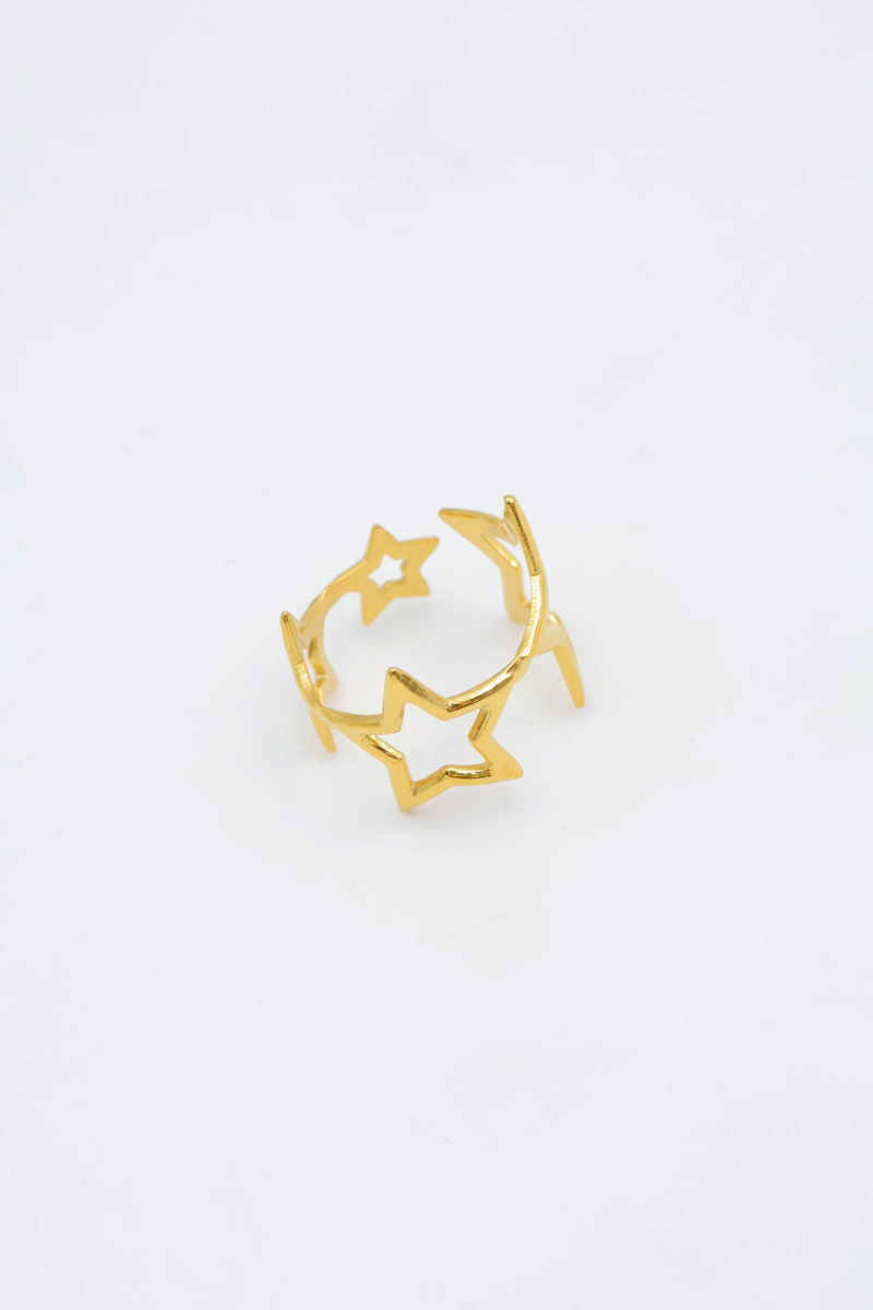 Adjustable stainless steel ring 2