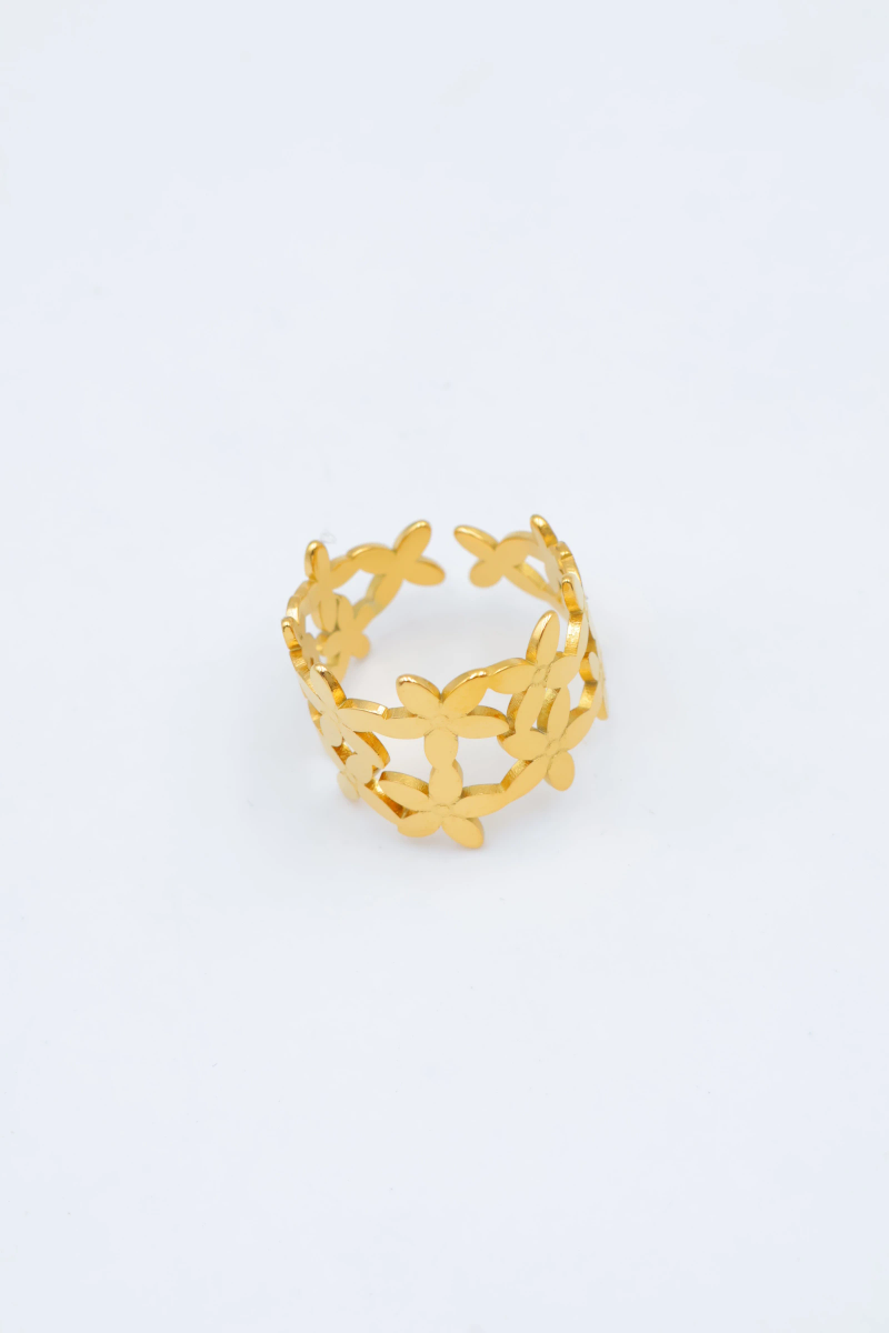 Adjustable stainless steel ring 2