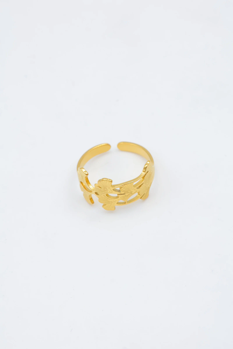 Adjustable stainless steel ring 2