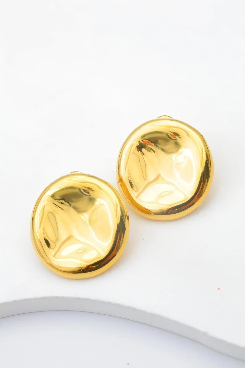 Stainless steel earrings 2