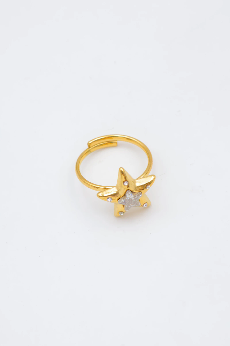 Adjustable stainless steel ring 2