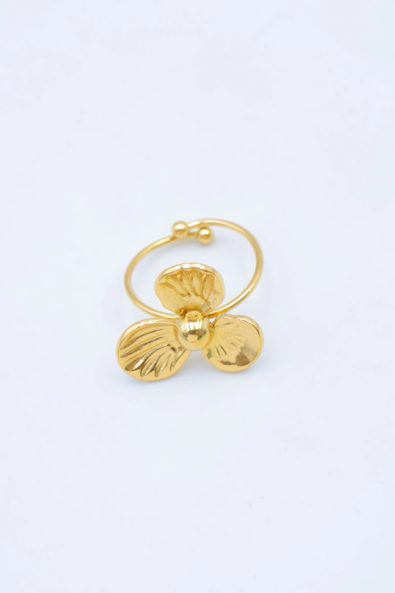 Bague en acier inoxydable ajustable 2