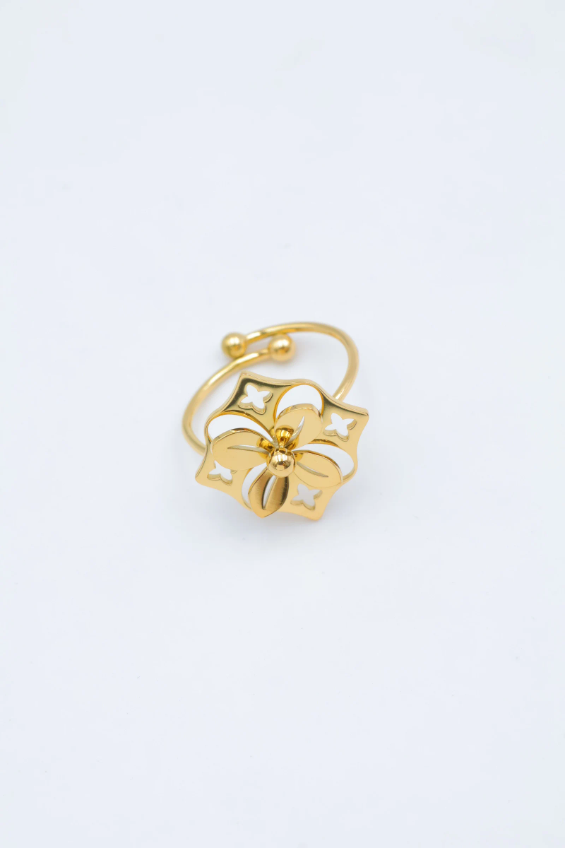 Bague en acier inoxydable ajustable 2