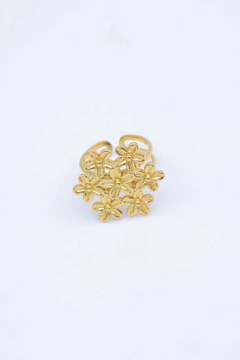 Bague en acier inoxydable ajustable 2