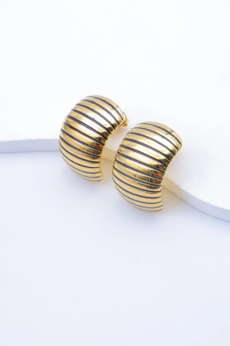 Stainless steel earrings 2