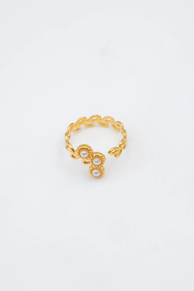 Bague en acier inoxydable ajustable 3