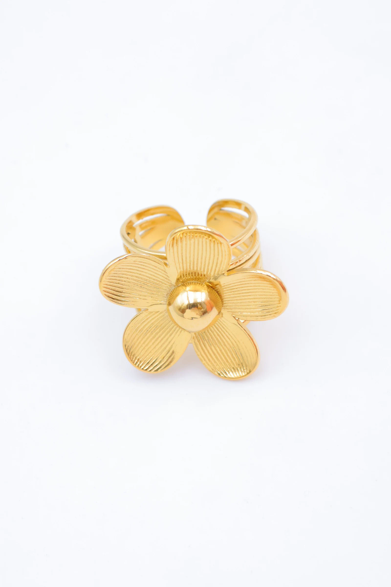 Adjustable stainless steel ring 2