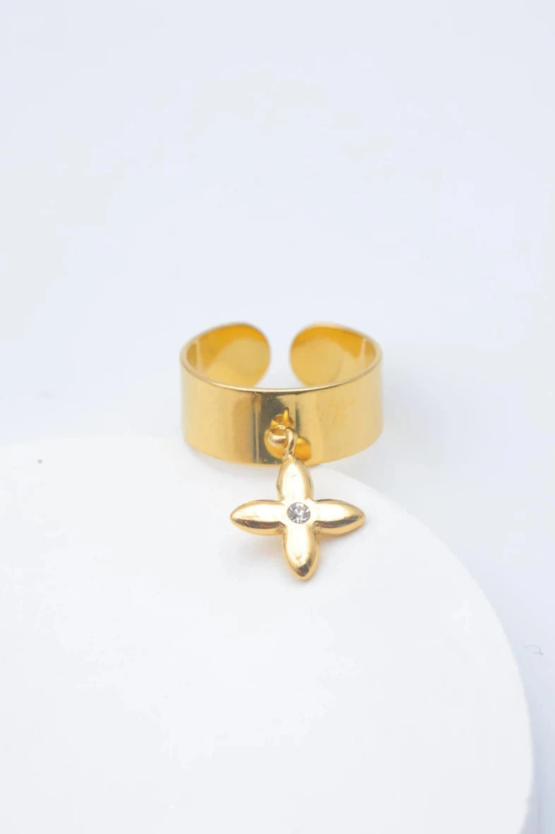 Bague en acier inoxydable ajustable 2