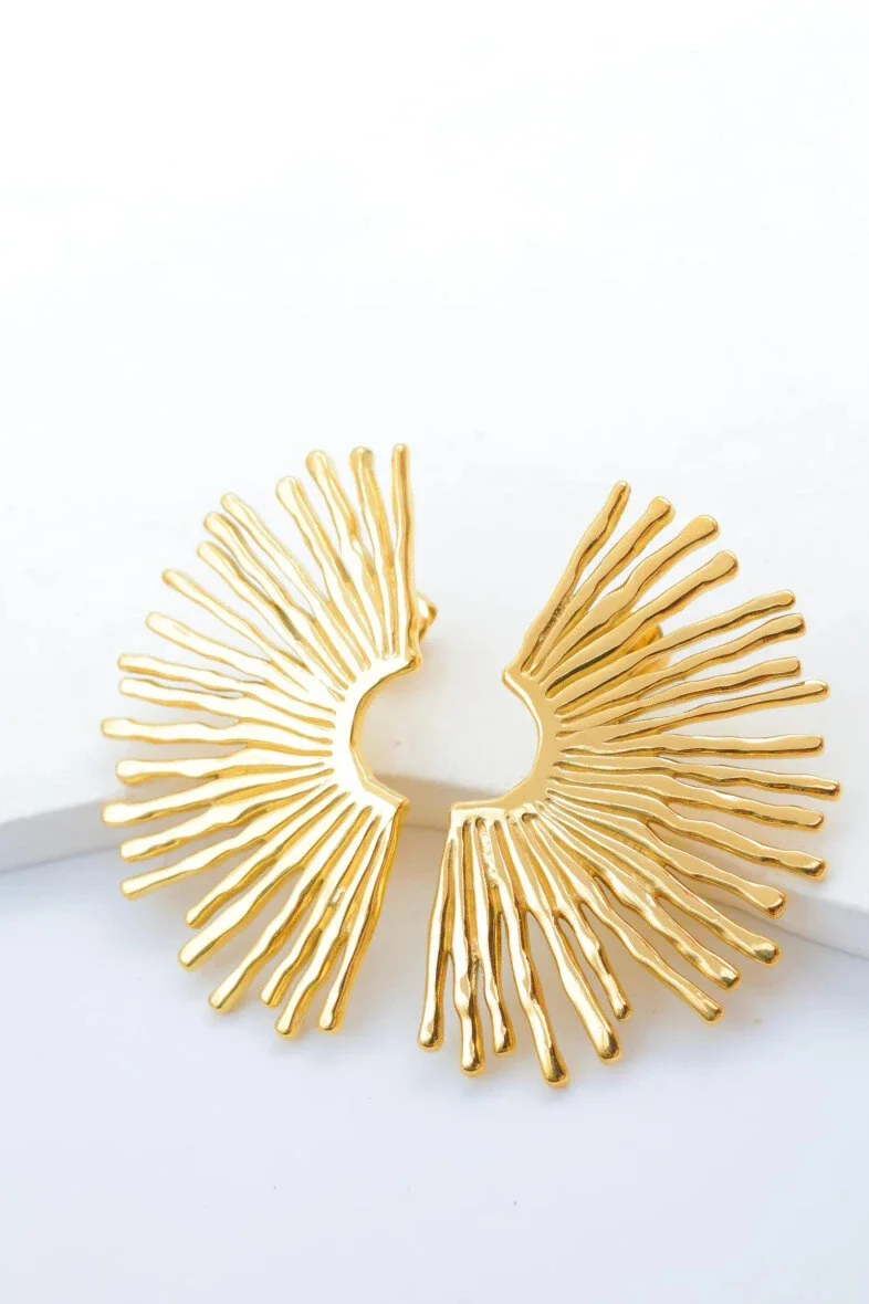 Stainless steel earrings 2