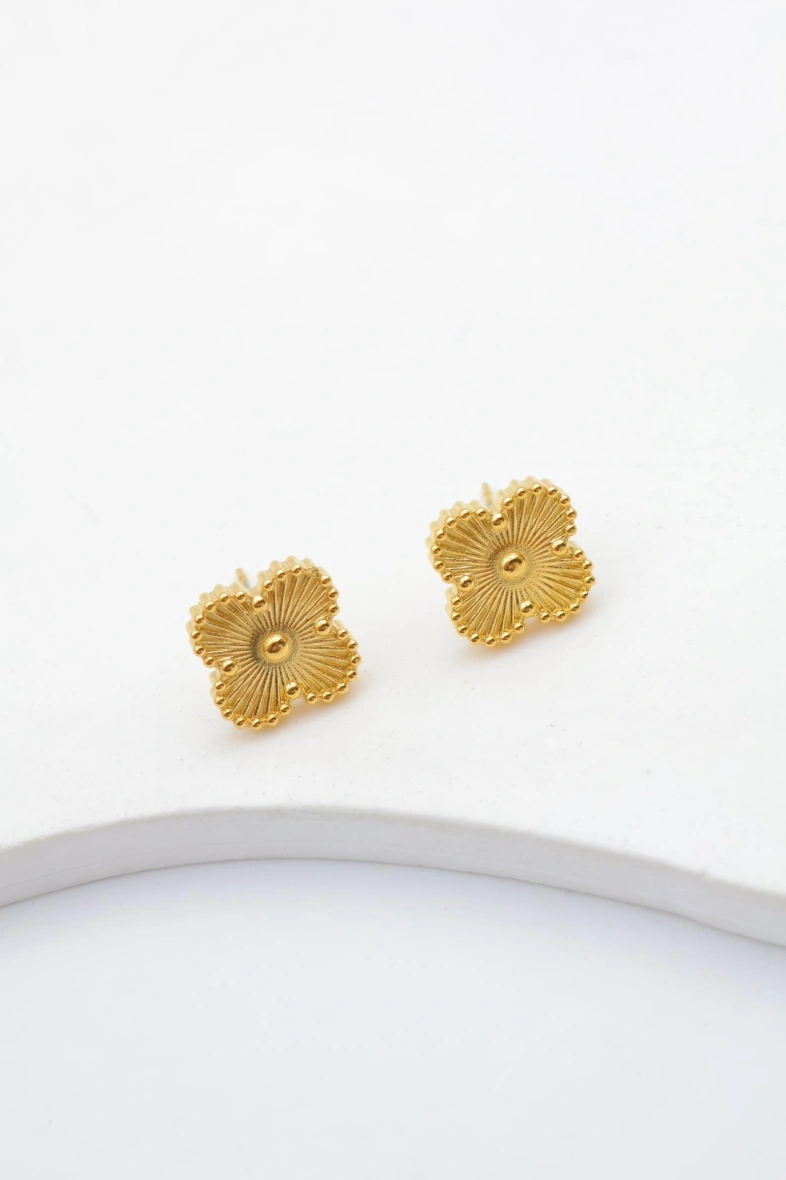 Boucles d'oreilles en acier inoxydable