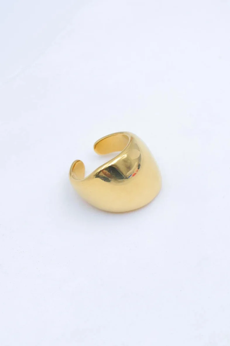 Adjustable stainless steel ring 2