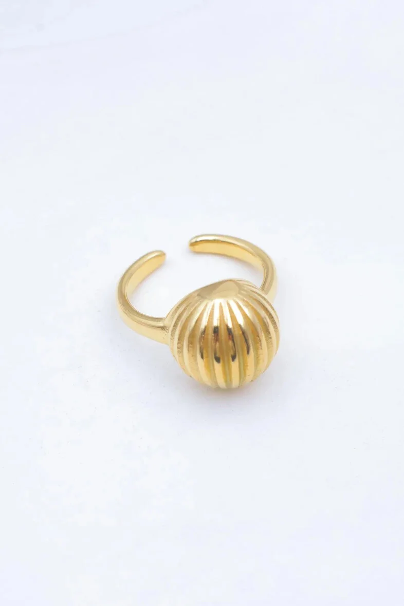 Adjustable stainless steel ring 2
