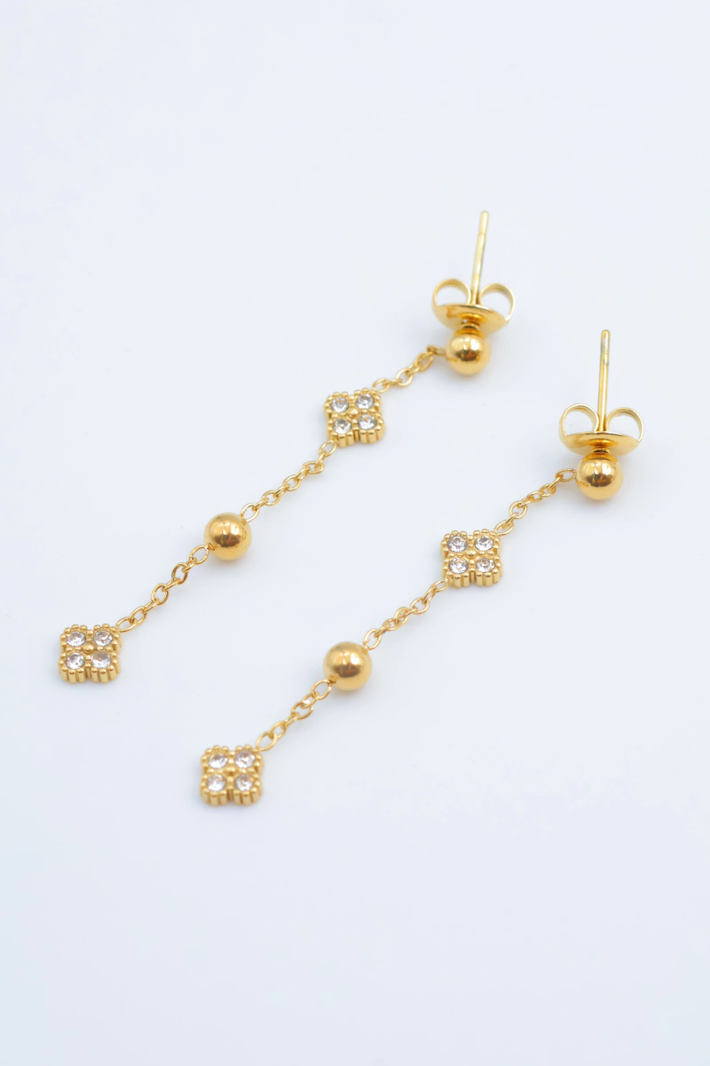 Stainless steel earrings 2