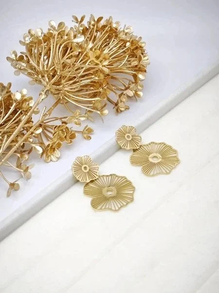 Stainless steel earrings 2
