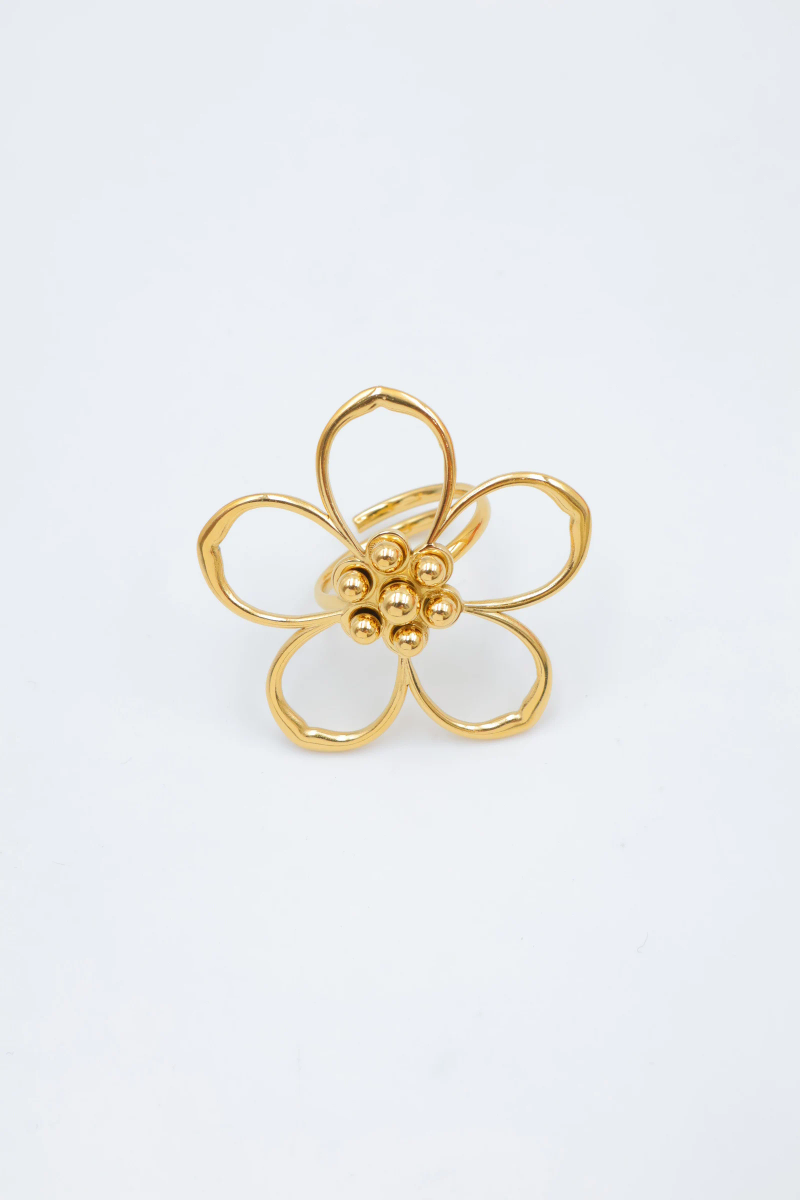 Adjustable stainless steel ring 2