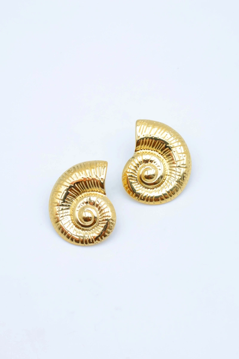 Stainless steel earrings 2