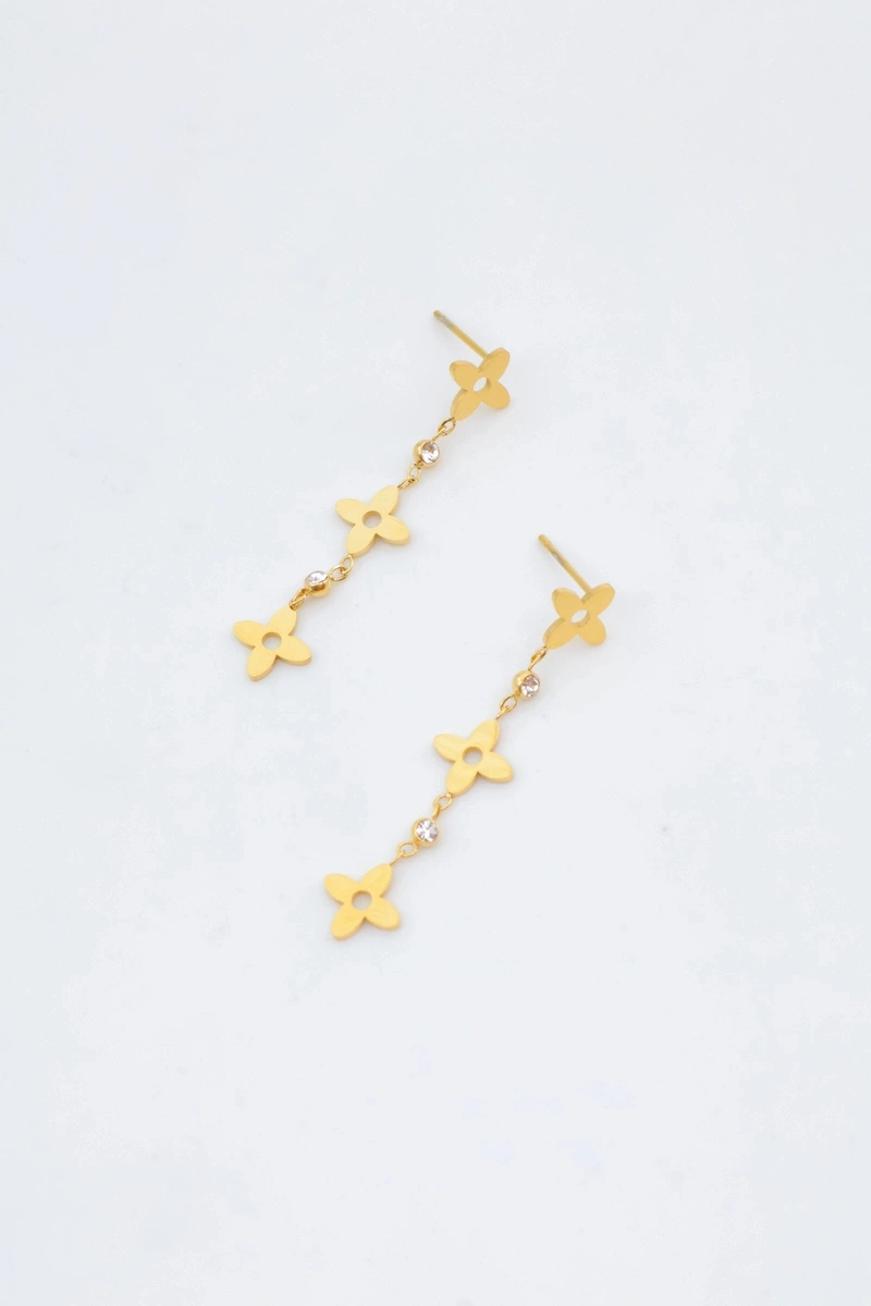 Stainless steel earrings 2
