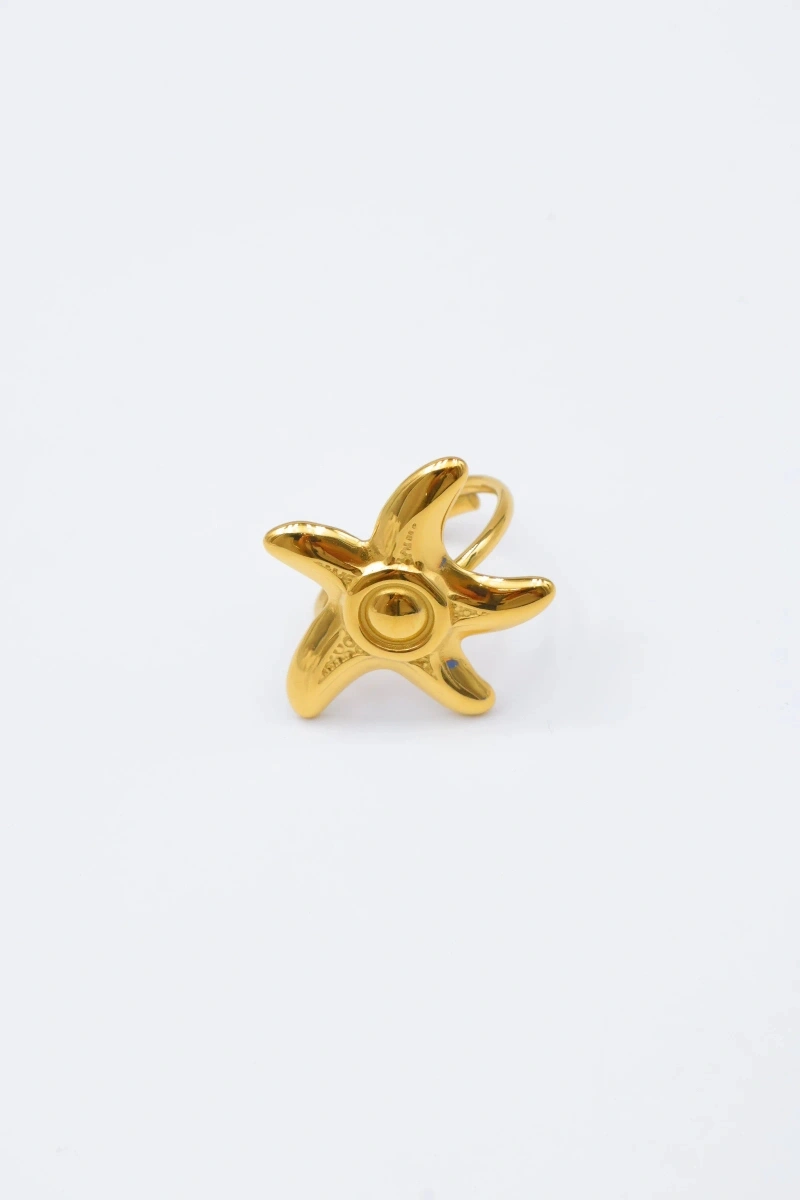Adjustable stainless steel ring 2