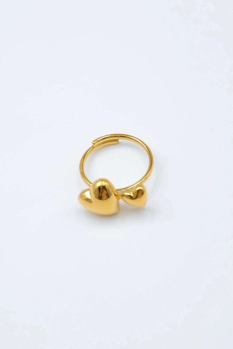Adjustable stainless steel ring 2