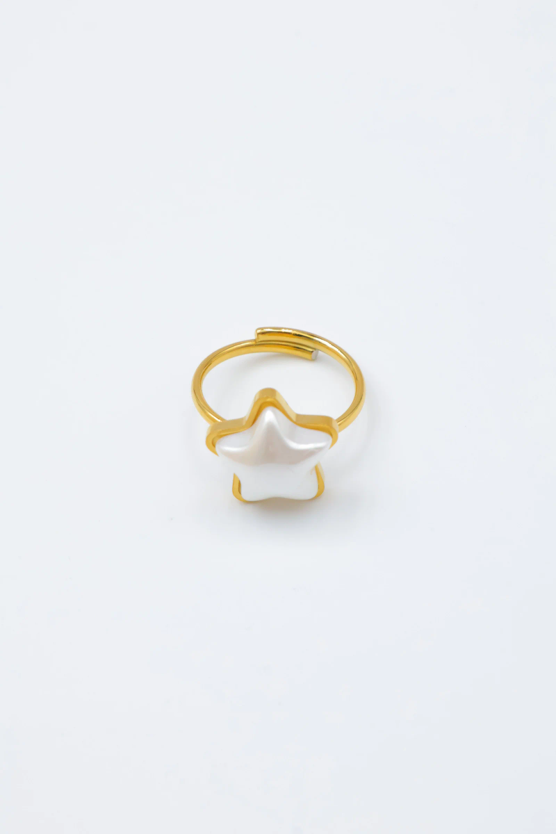Bague en acier inoxydable ajustable 2