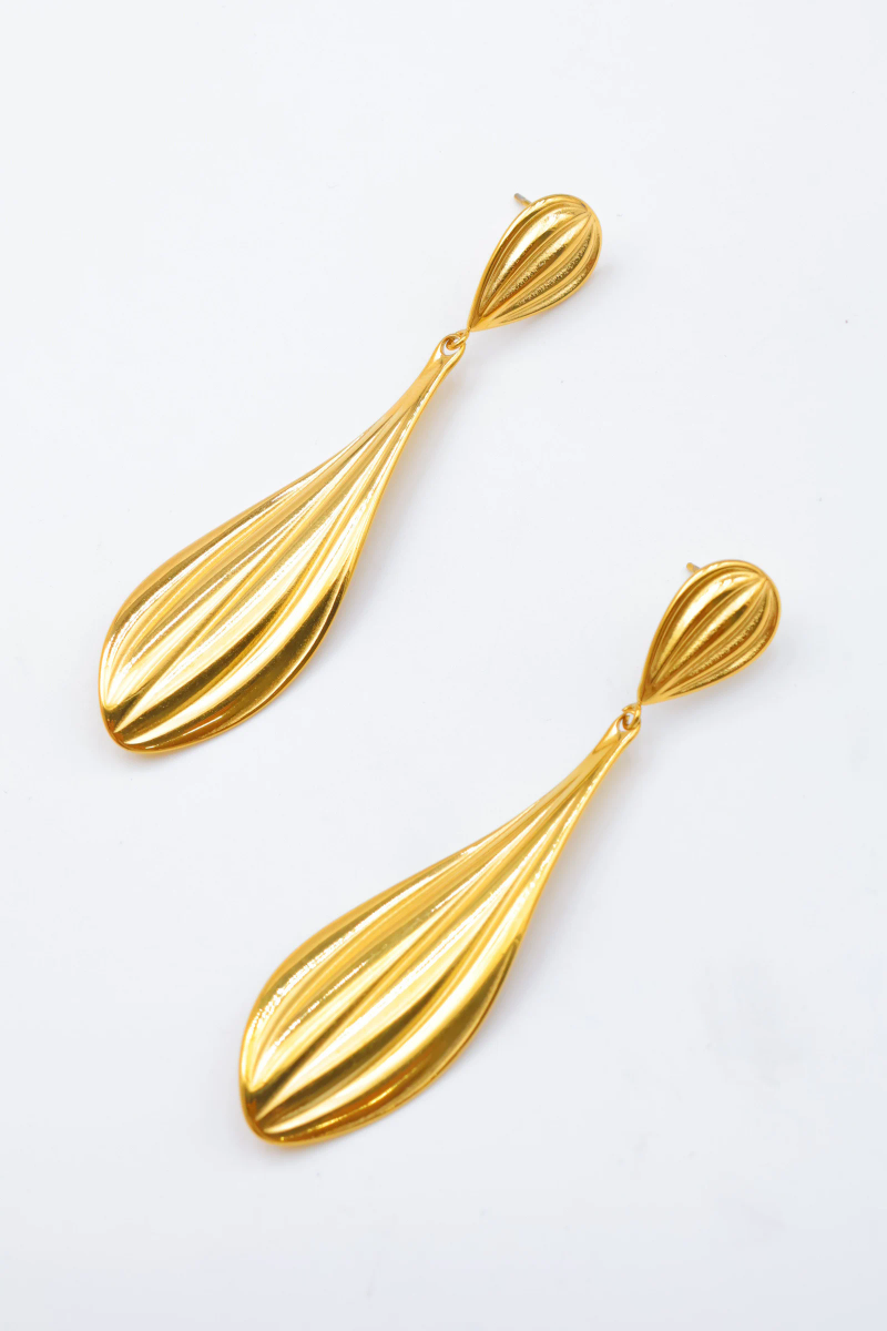 Stainless steel earrings 2