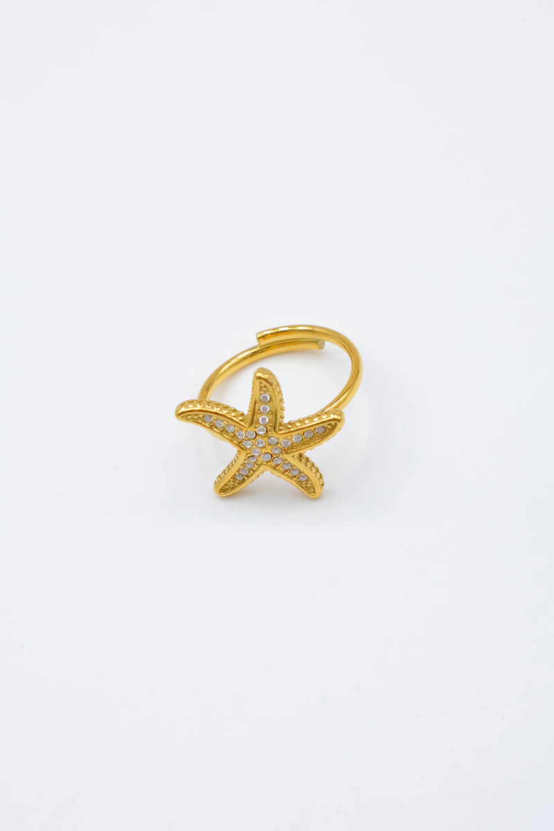Bague en acier inoxydable ajustable 4