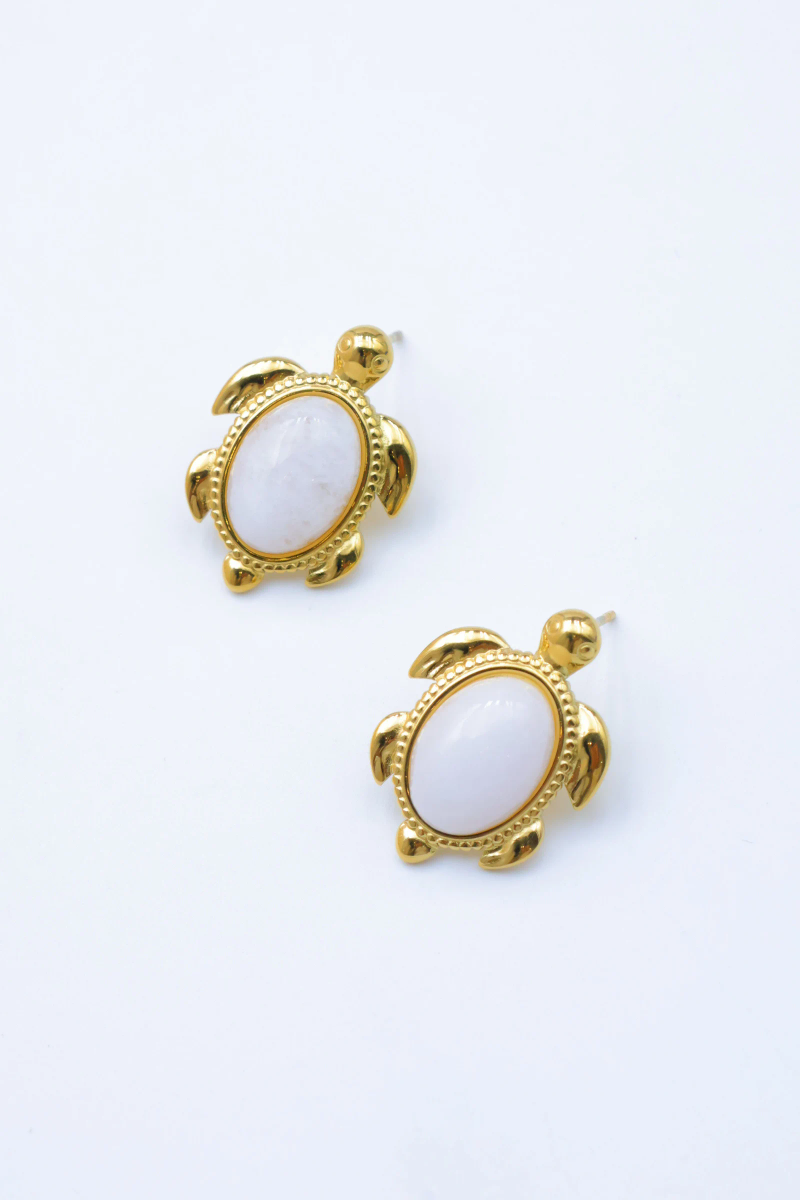 Stainless steel earrings 6