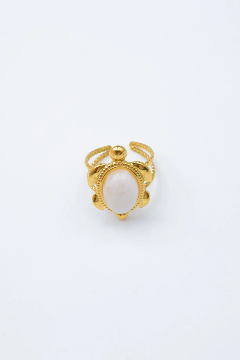 Bague en acier inoxydable ajustable 3