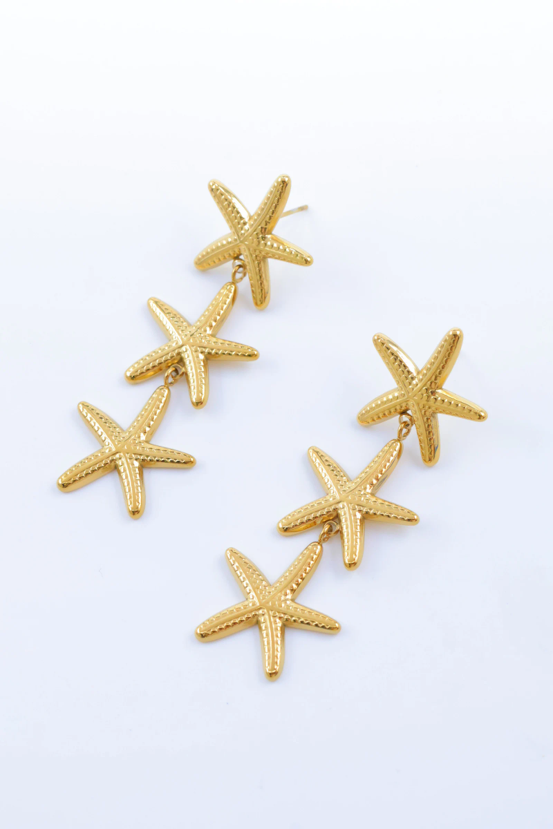 Stainless steel earrings 2
