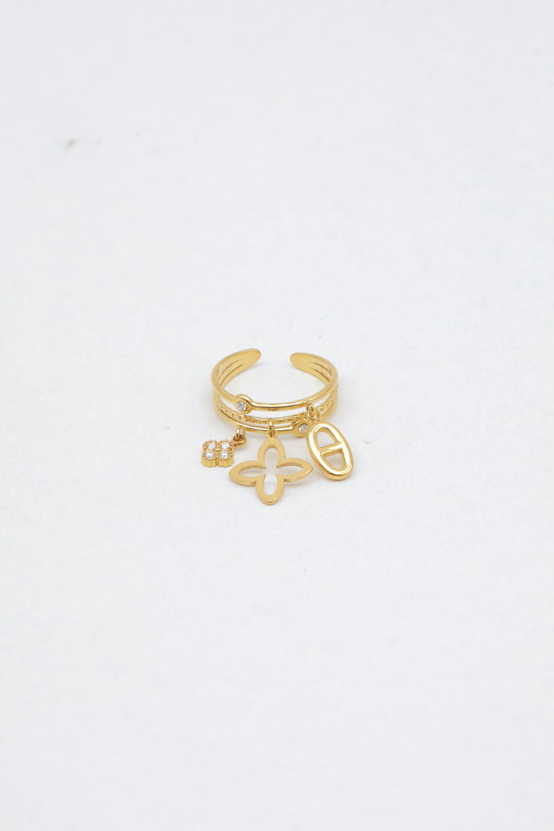 Bague en acier inoxydable ajustable 2