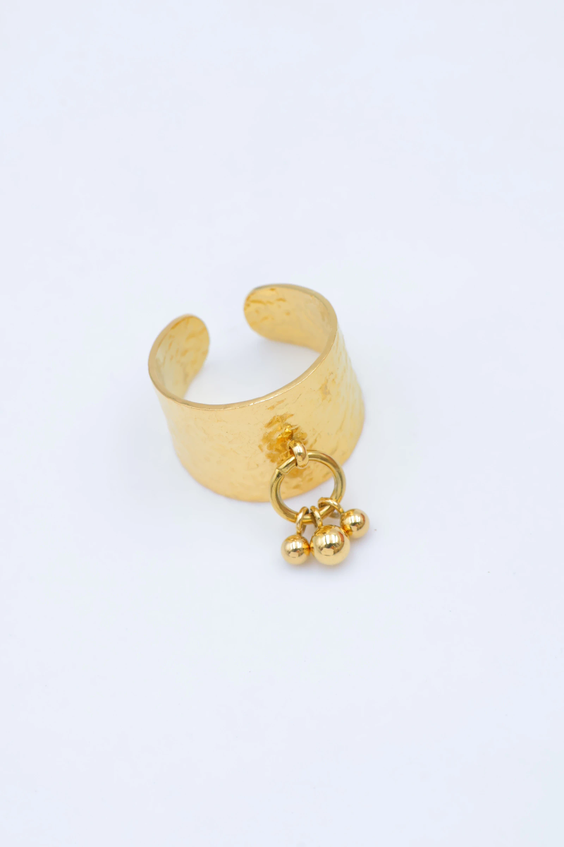 Bague en acier inoxydable ajustable 2