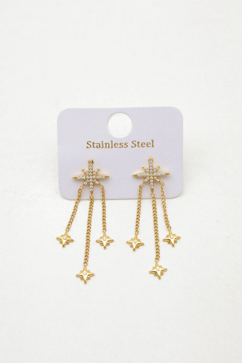 Stainless steel earrings 2