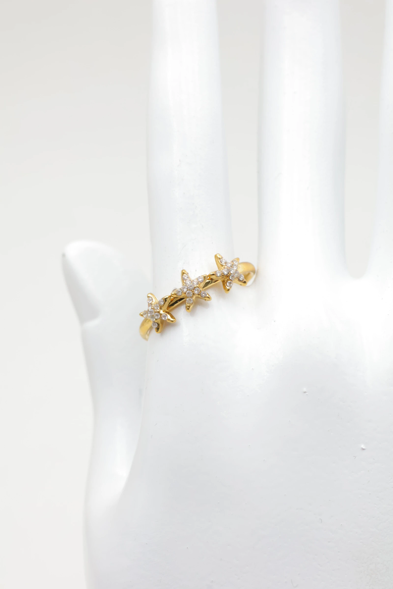 Adjustable stainless steel ring 2