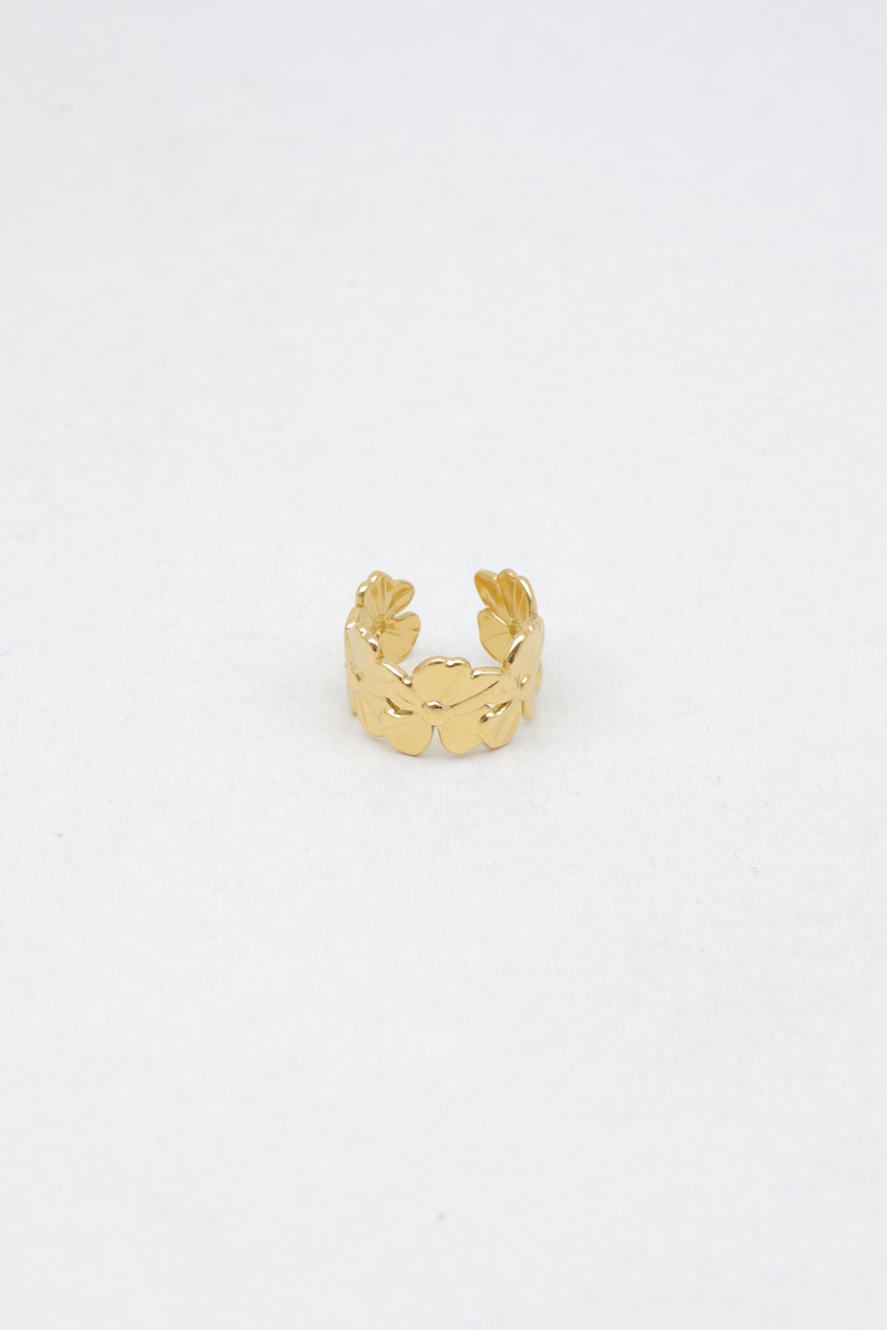 Stainless steel ring 2