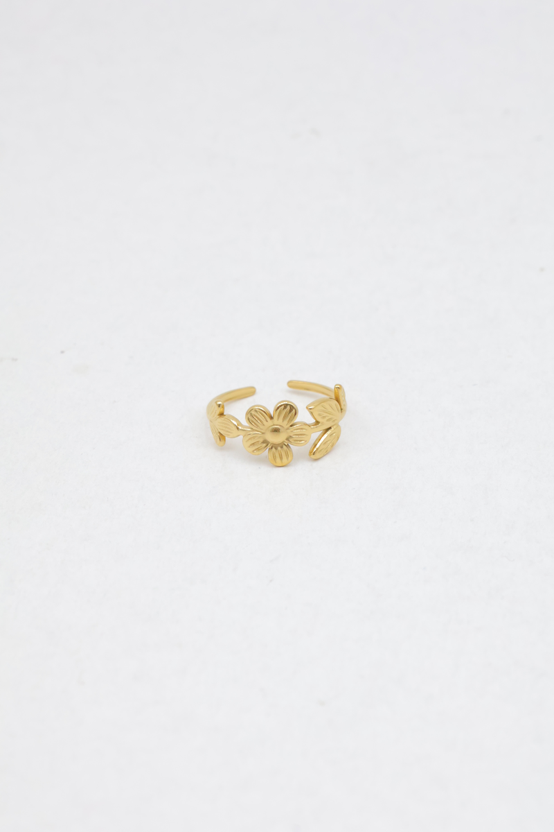 Bague en acier inoxydable 2