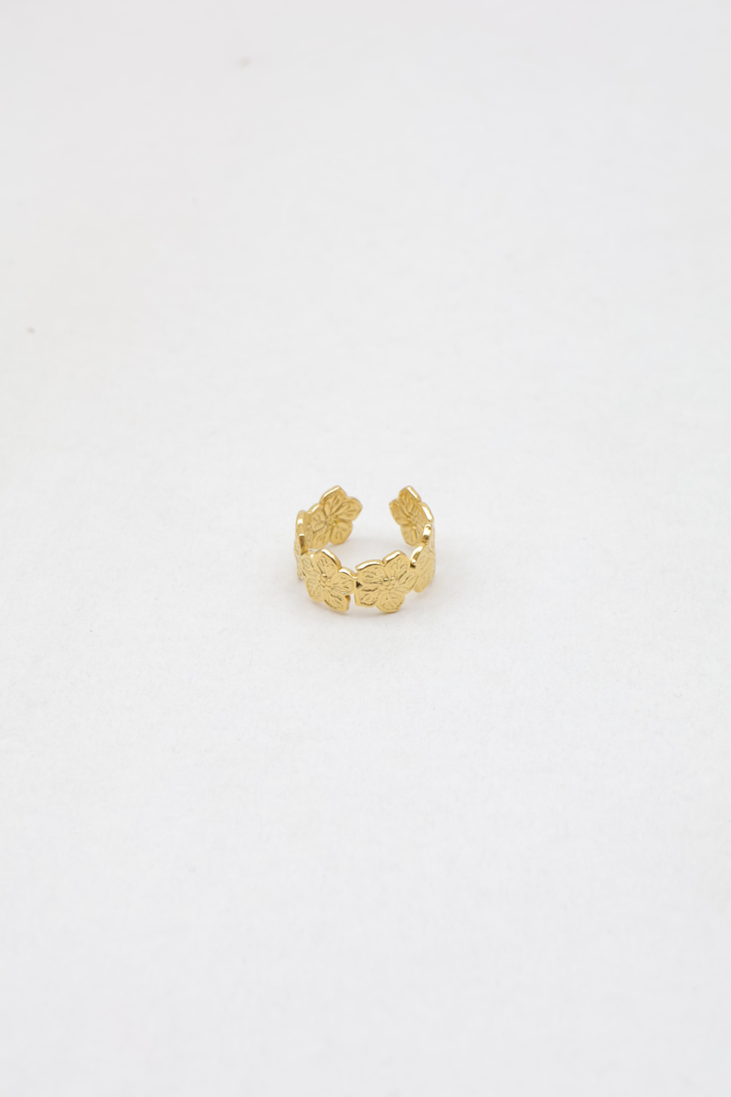 Bague en acier inoxydable 2
