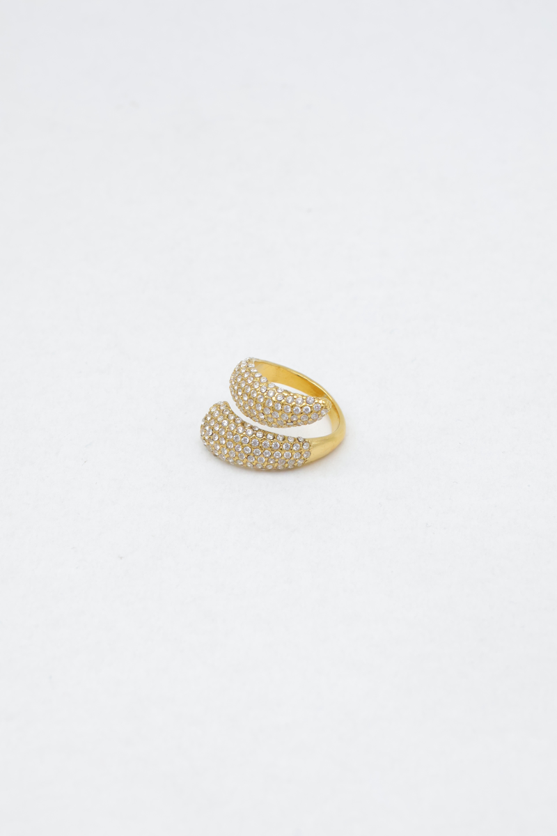 Bague en acier inoxydable 2