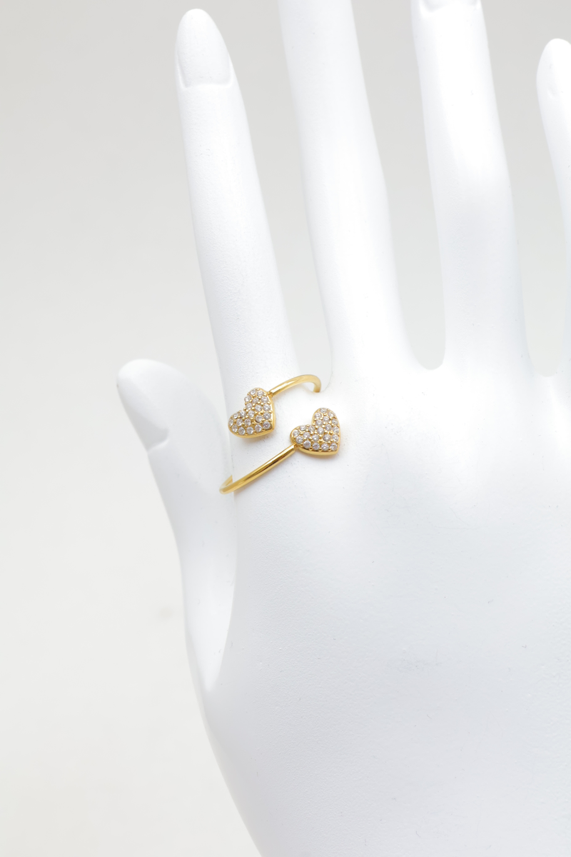 Stainless steel ring 2
