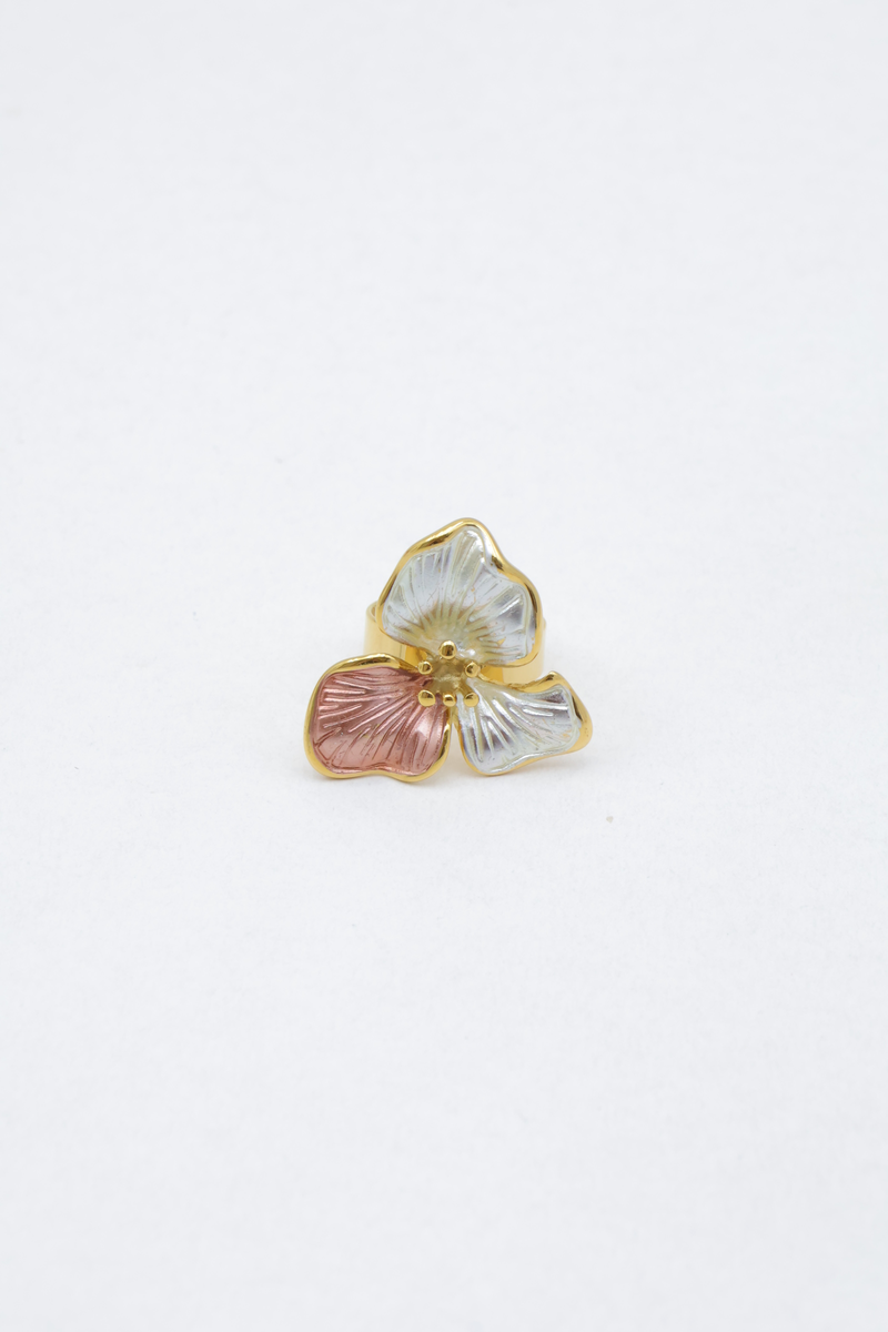 Bague en acier inoxydable 2