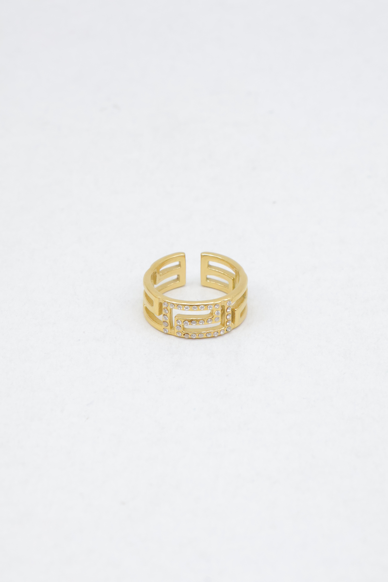 Stainless steel ring 2
