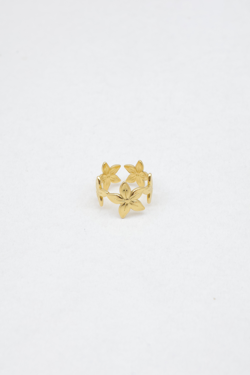 Bague en acier inoxydable 2