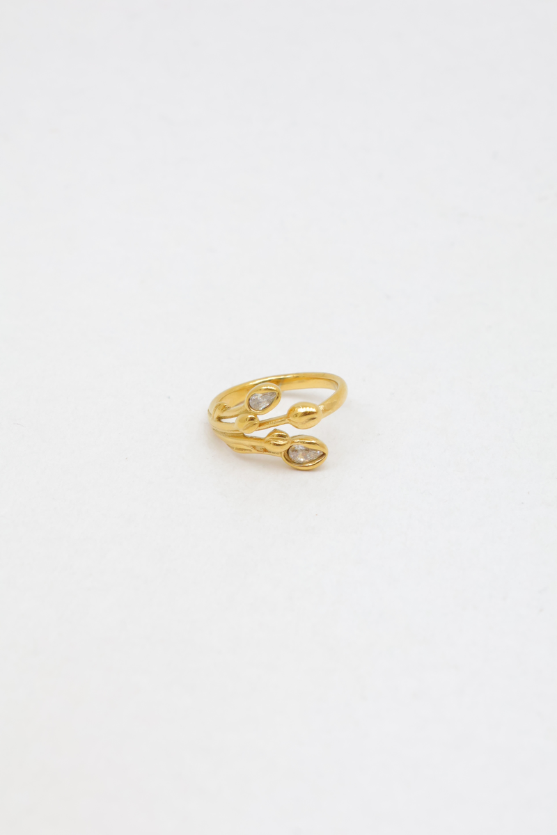 Bague en acier inoxydable 2