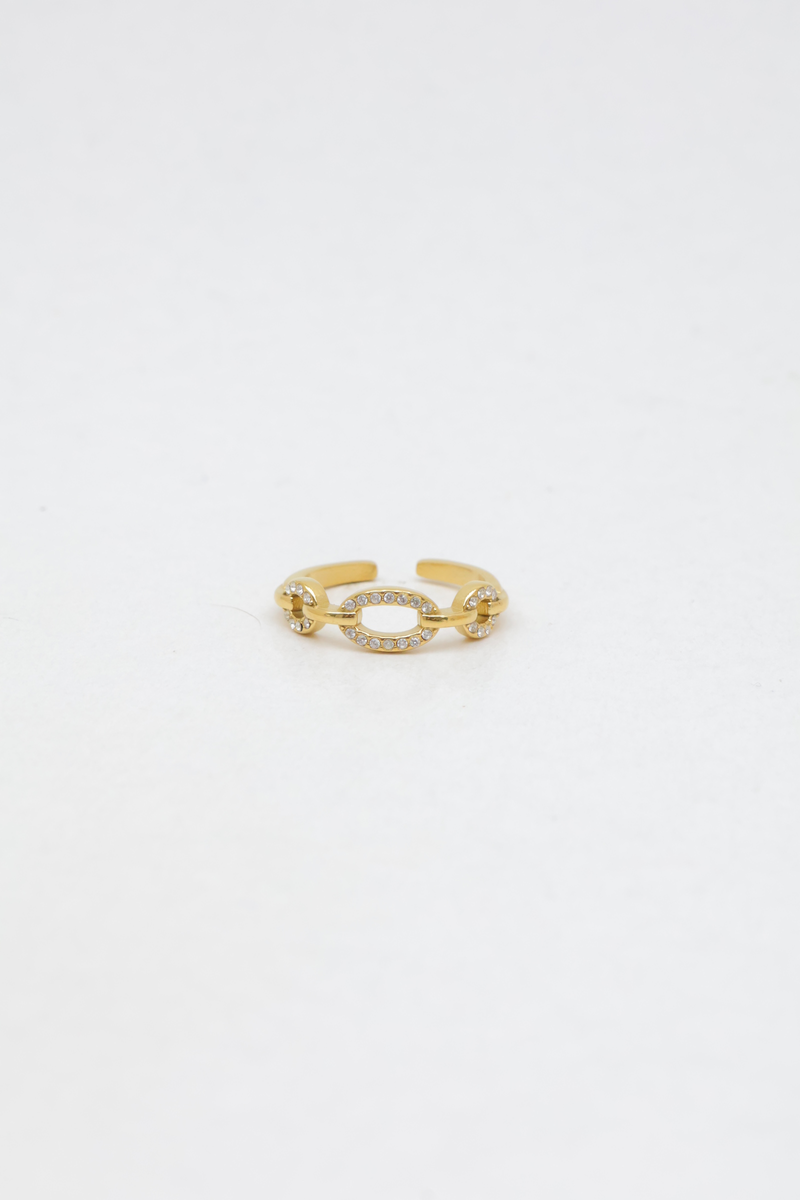 Stainless steel ring 2